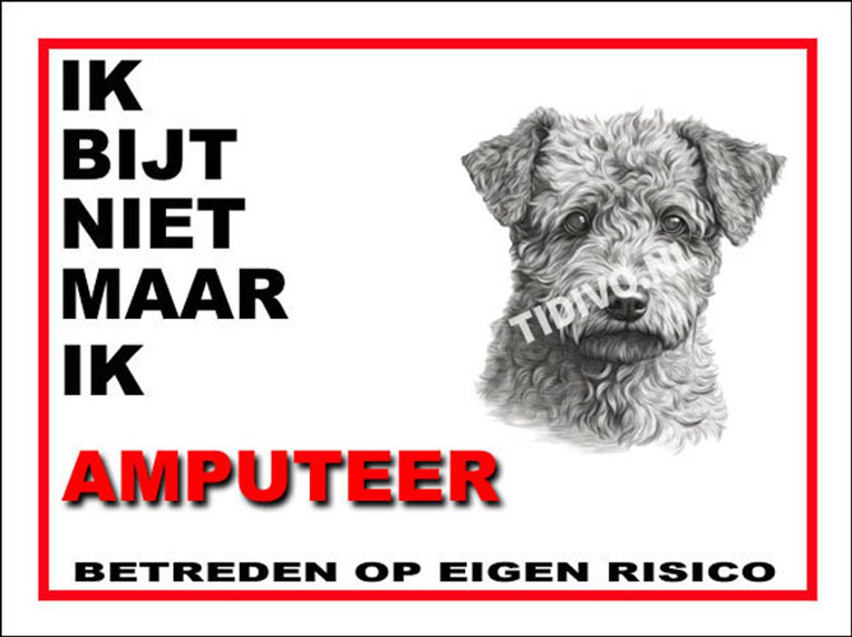 Pumi 5