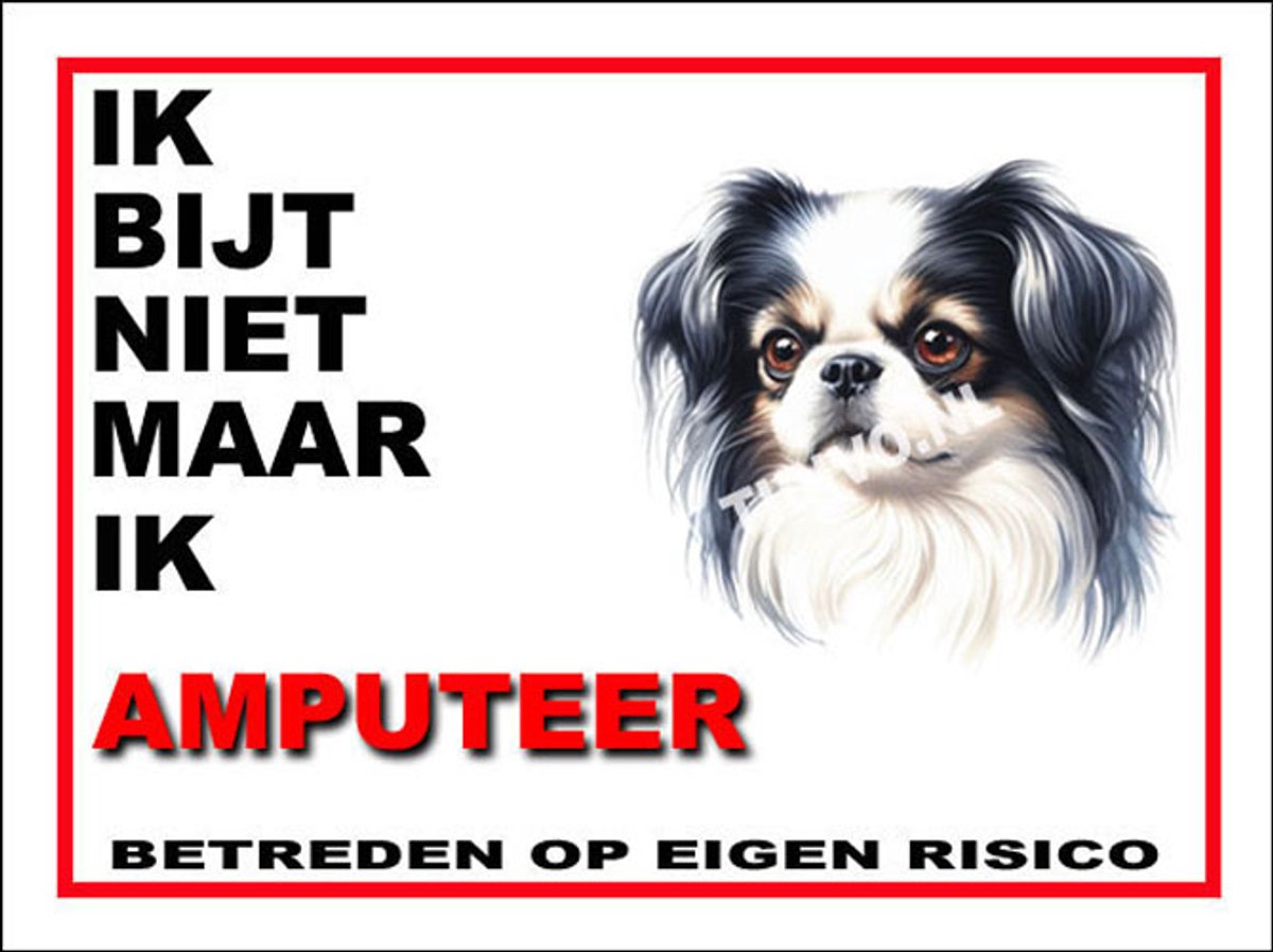 Japanse Spaniel 5