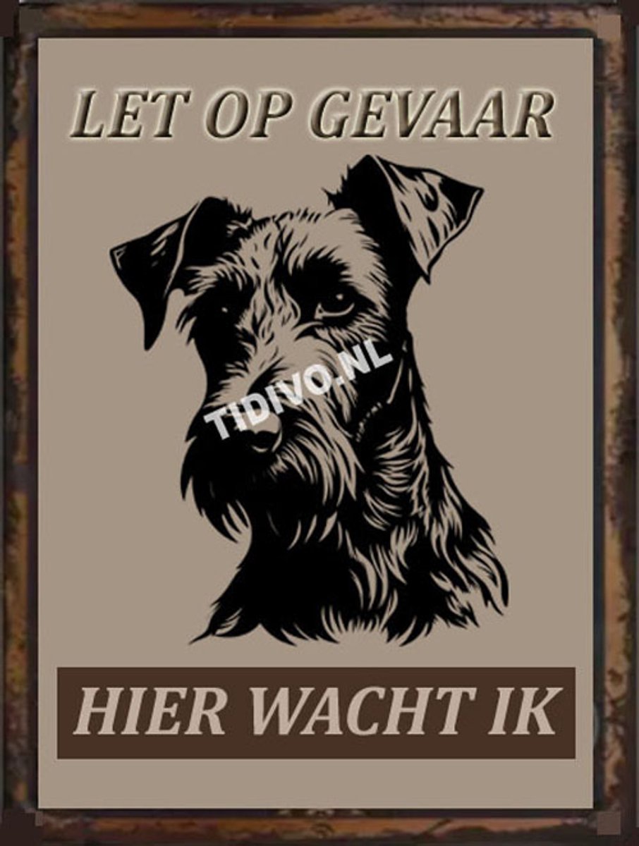 Ierse Terrier 18