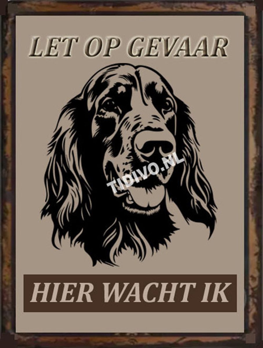 Ierse Setter 18