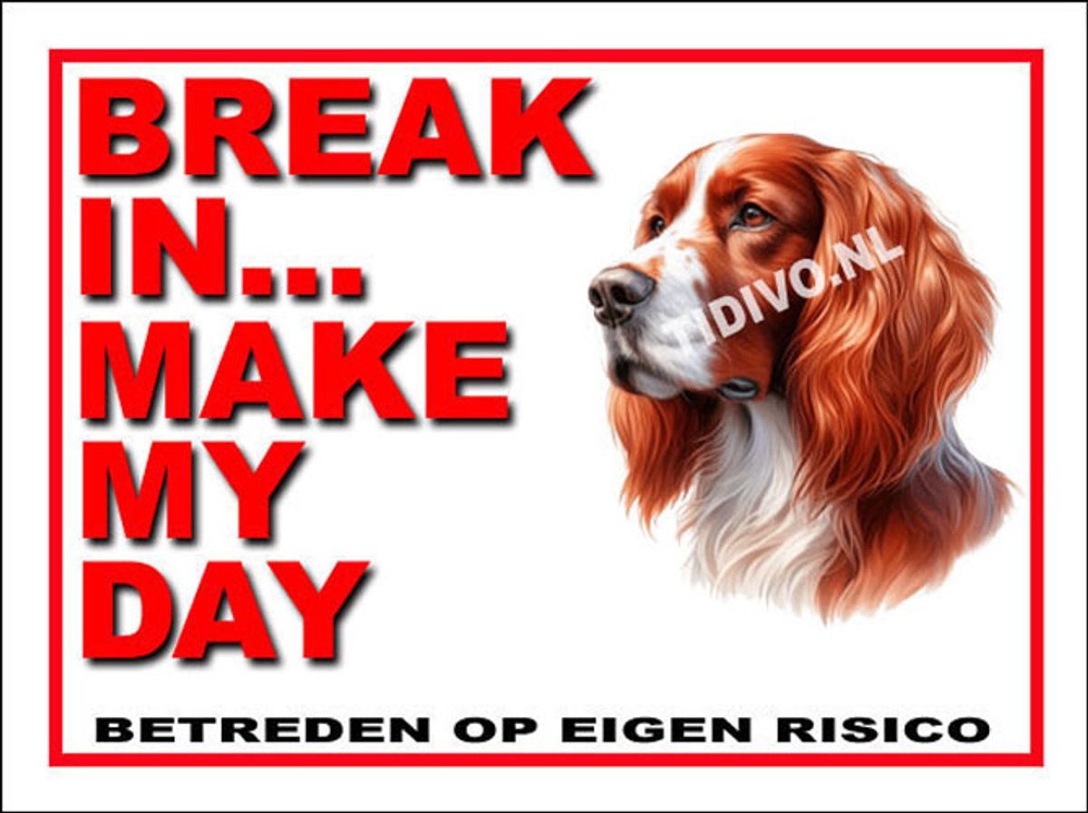 Ierse Setter 1