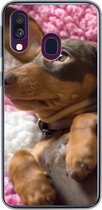 Convient pour coque Samsung Galaxy A40 - Un chiot teckel sur une couverture rose - Coque de téléphone en Siliconen