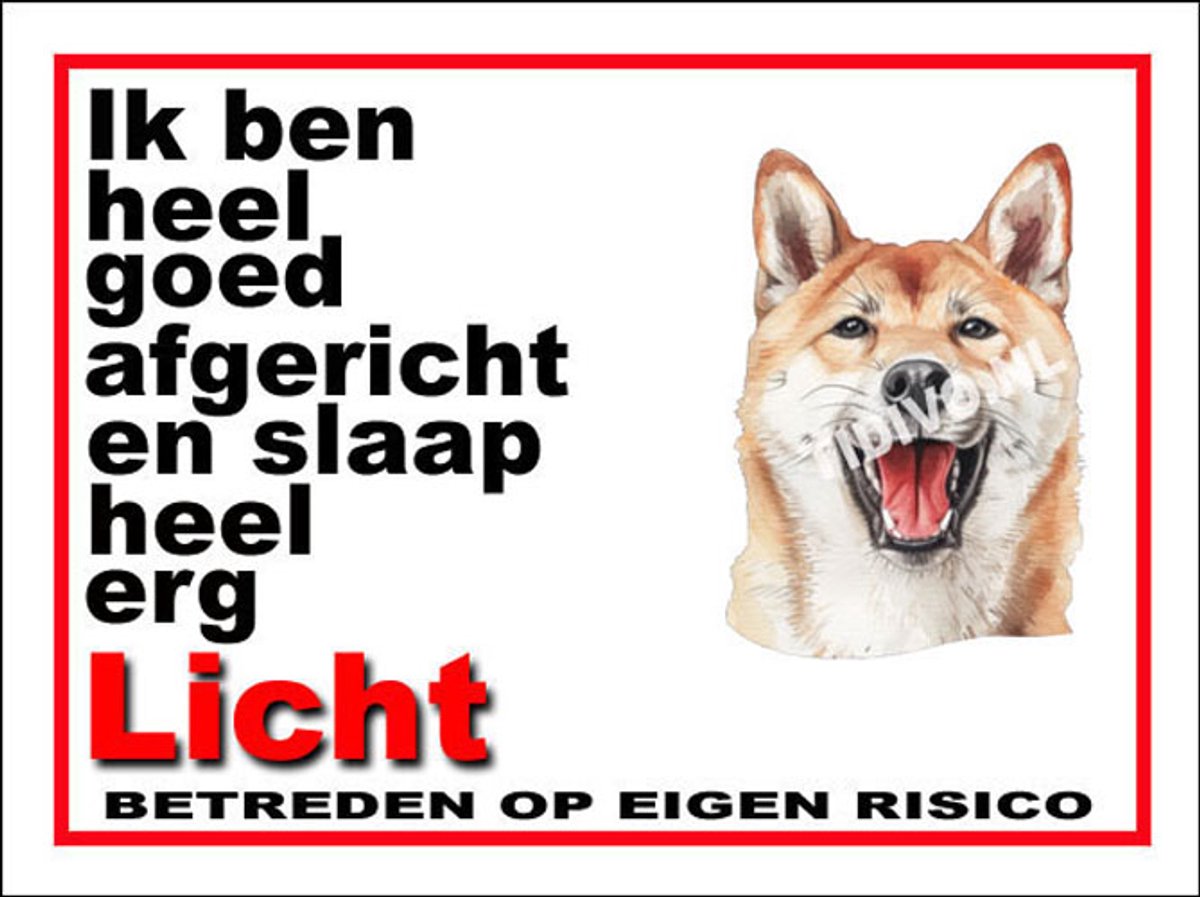Kishu 4