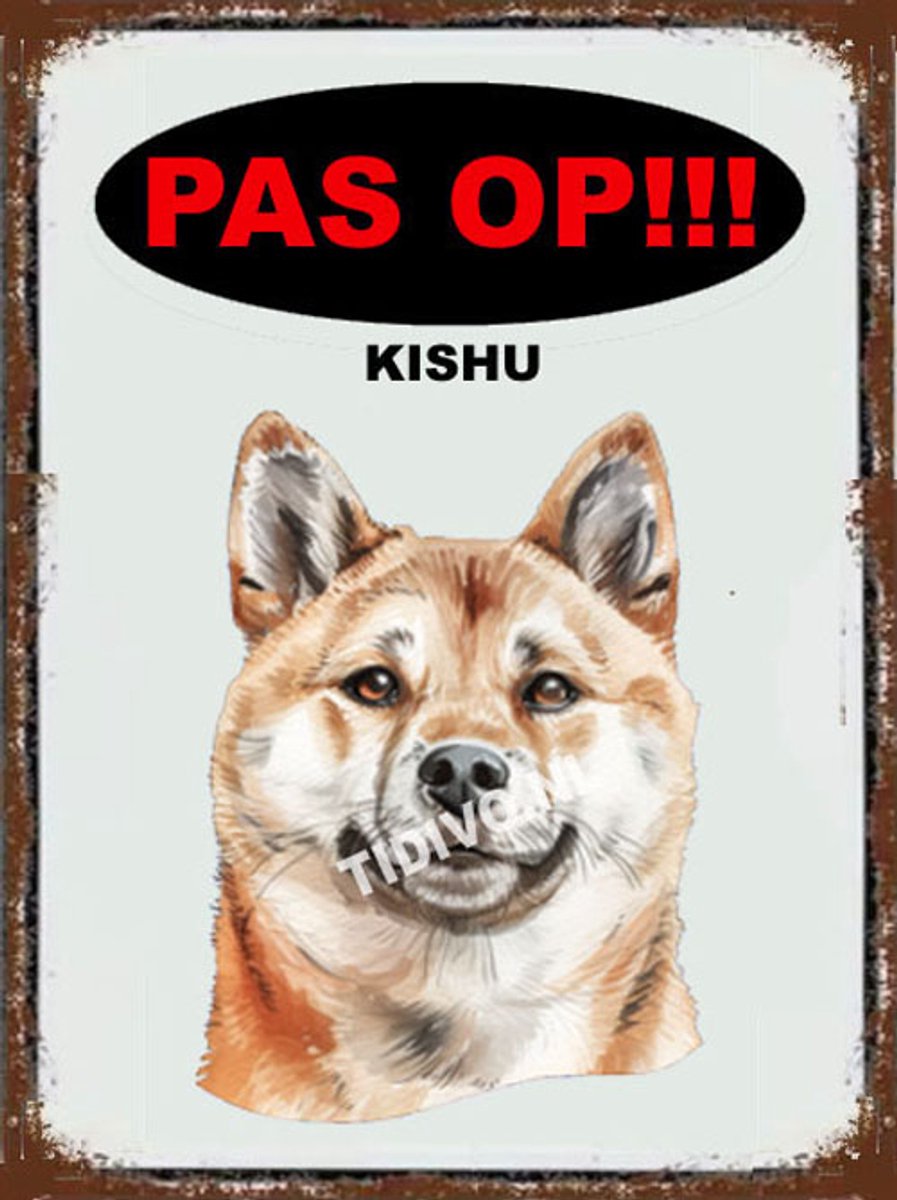 Kishu 17