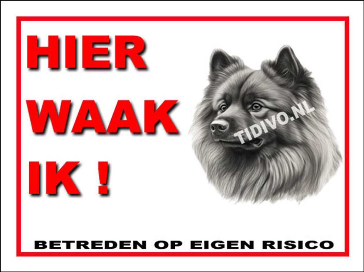 Keeshond 3