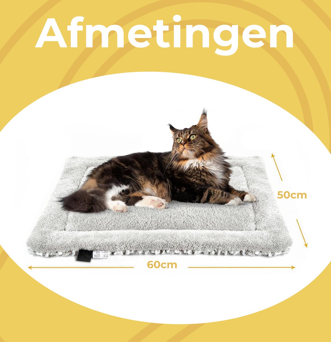 Warmtekussen voor honden en katten: Wanneer is het nodig