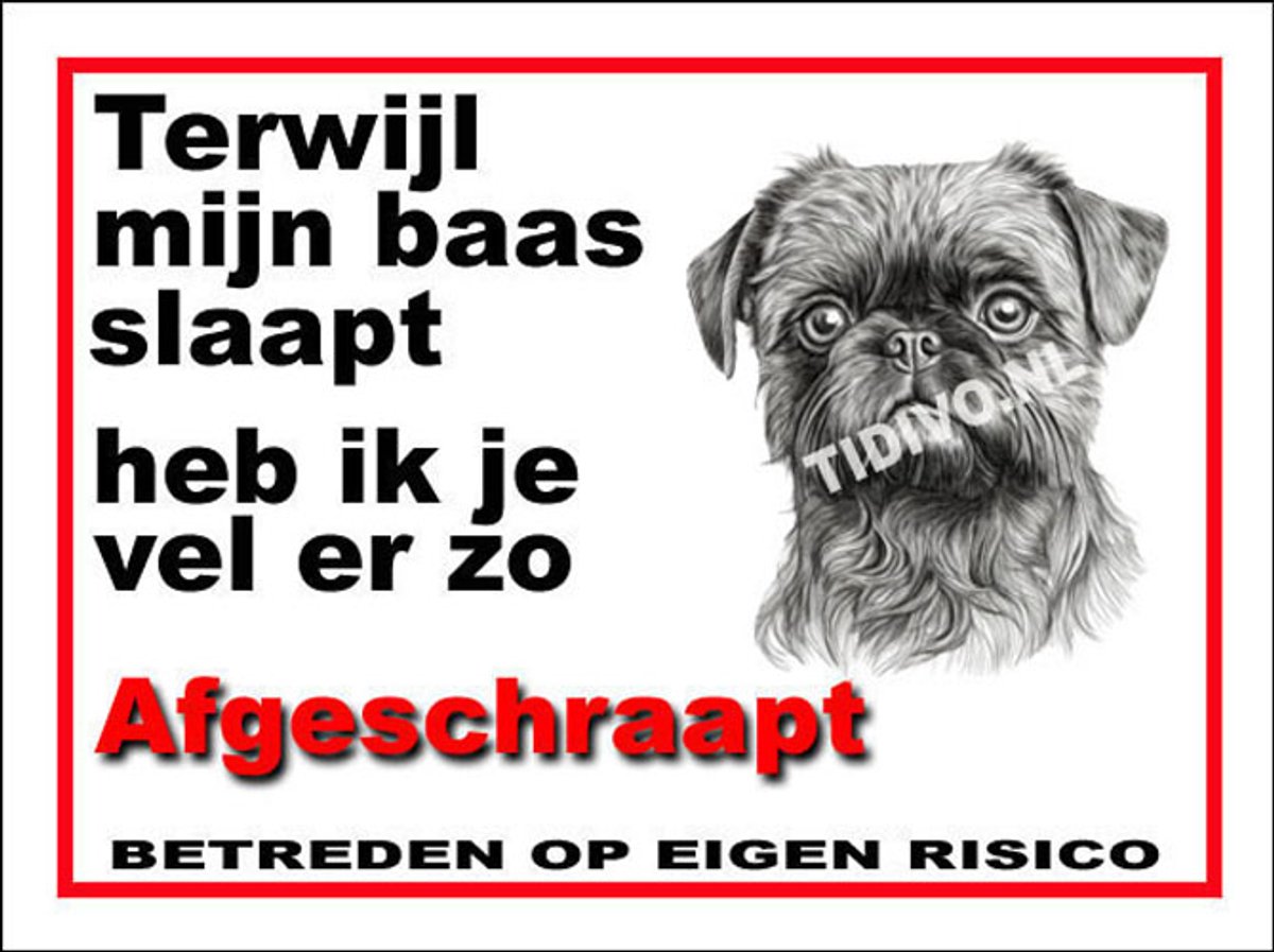 Griffon Brusselse 15