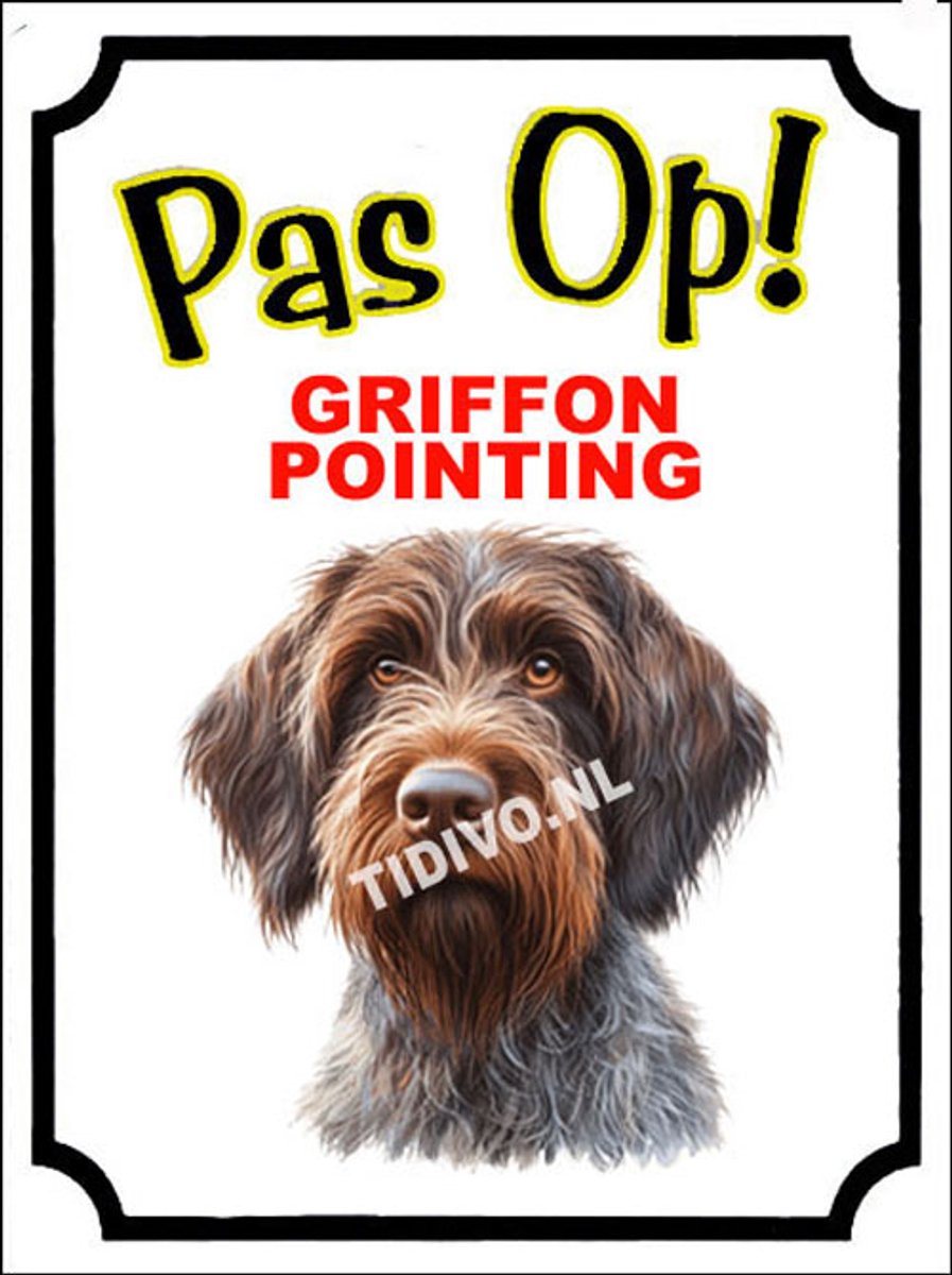 Griffon Pointing 16