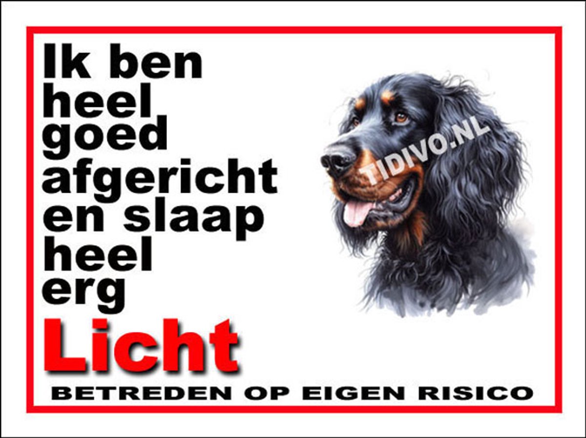 Gordon Setter 4
