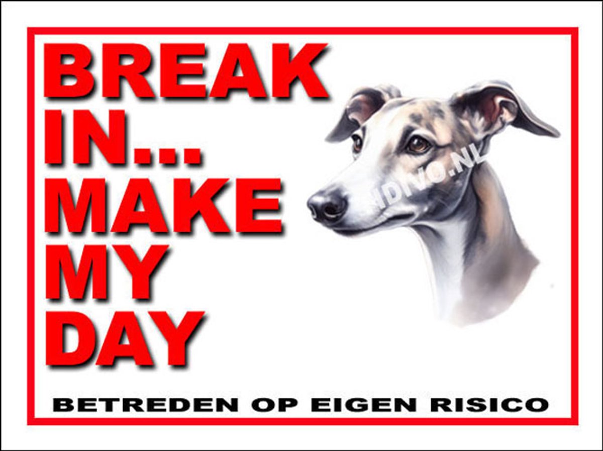Greyhound 1