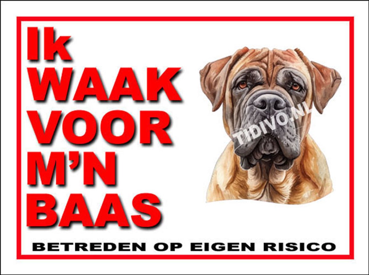 Kurdish Mastiff 9