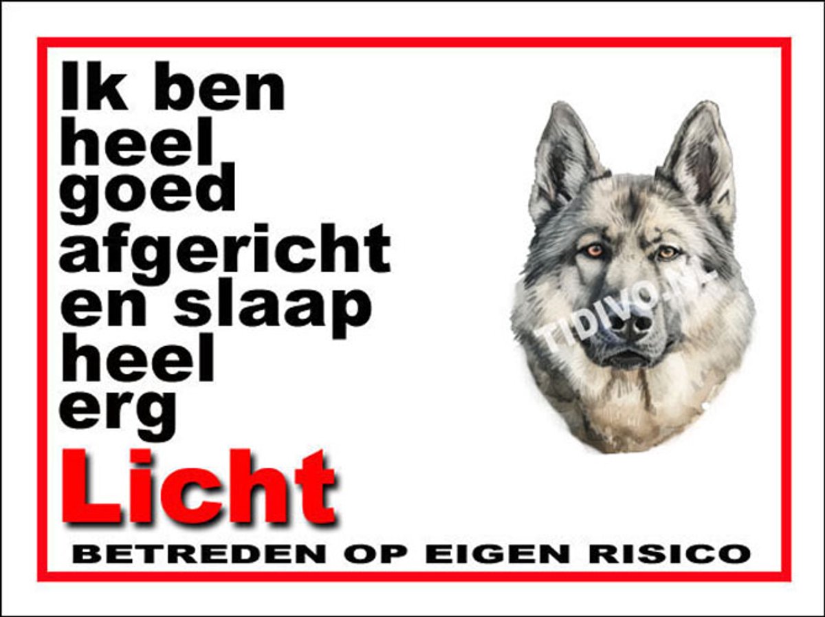 Hellinikos Ichnilatis 20