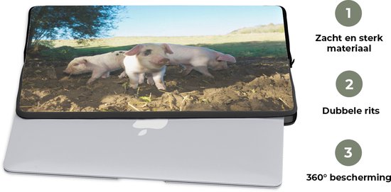 Laptophoes 13 inch - Varkens - Dieren - Landschap - Laptop sleeve - Binnenmaat 32x22,5 cm - Zwarte achterkant