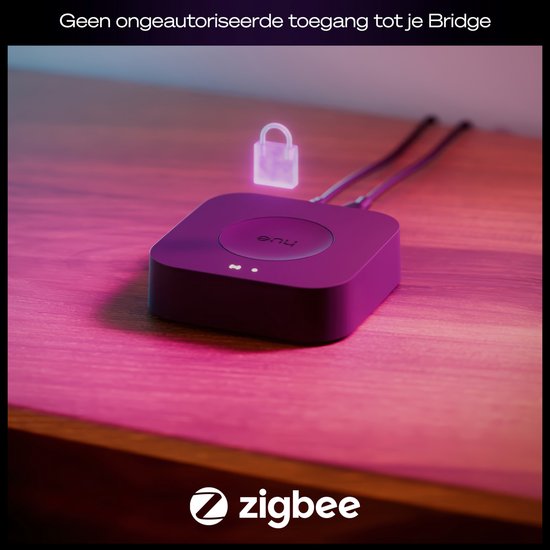 Bridge Philips Hue Pro