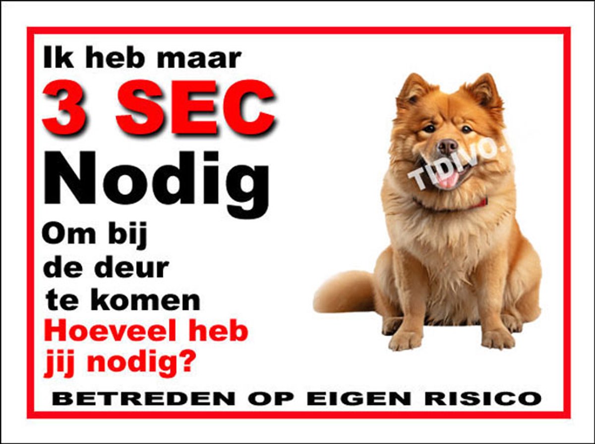 Chow Chow 6