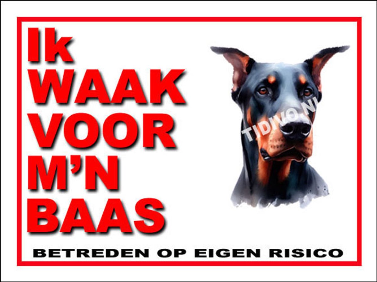 Duitse Dog 9