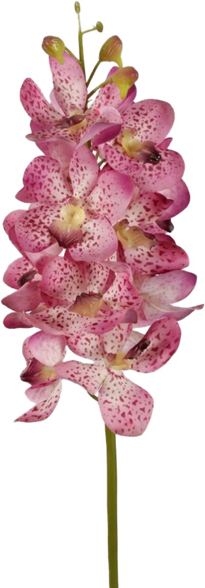 Viv! Home Luxuries Orchidee Vanda - zijden bloem - natural touch - paars - 69cm