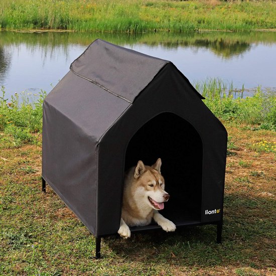 FRONTLINE Combo honden | Bescherm je hond en je huis tegen vlooien