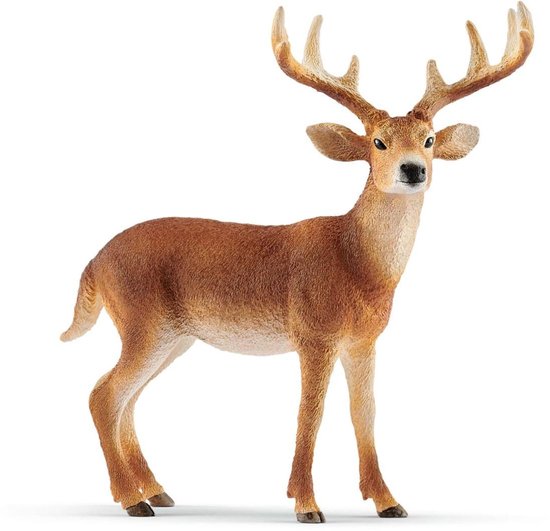 schleich WILD LIFE - Witstaarthert - Speelfiguur - Kinderspeelgoed voor Jongens en Meisjes - 3 tot 8 jaar - 14818