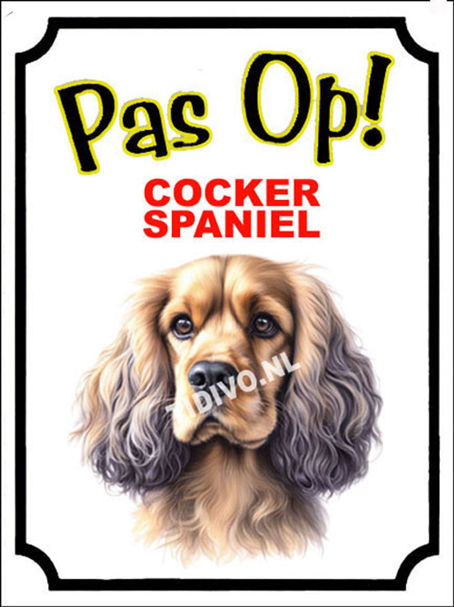 Cocker Spaniel 16