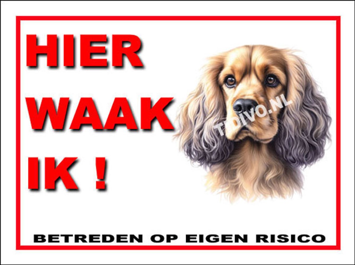 Cocker Spaniel 3