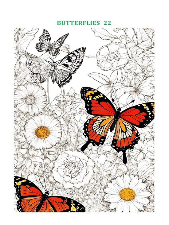 Fun coloring book Butterflies 3 for little artists - cover