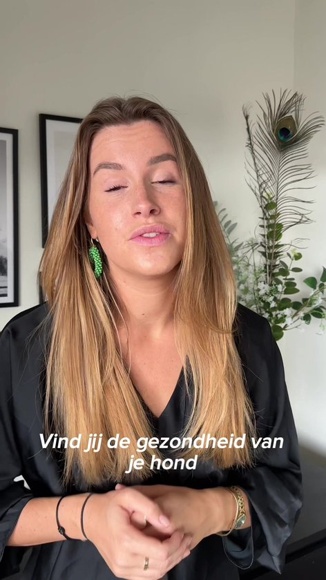 Woef Woef Snacks Snacks pour chiens Cuisses de poulet - 0,50 KG - Snacks cocooning - Viande séchée - Kip - à partir de 3 mois - Geen additifs