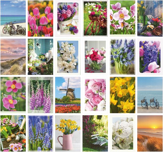 MGPcards - 24 wenskaarten - Blanco - Zonder tekst - Gekleurde envelop - 11.5 x 17 cm