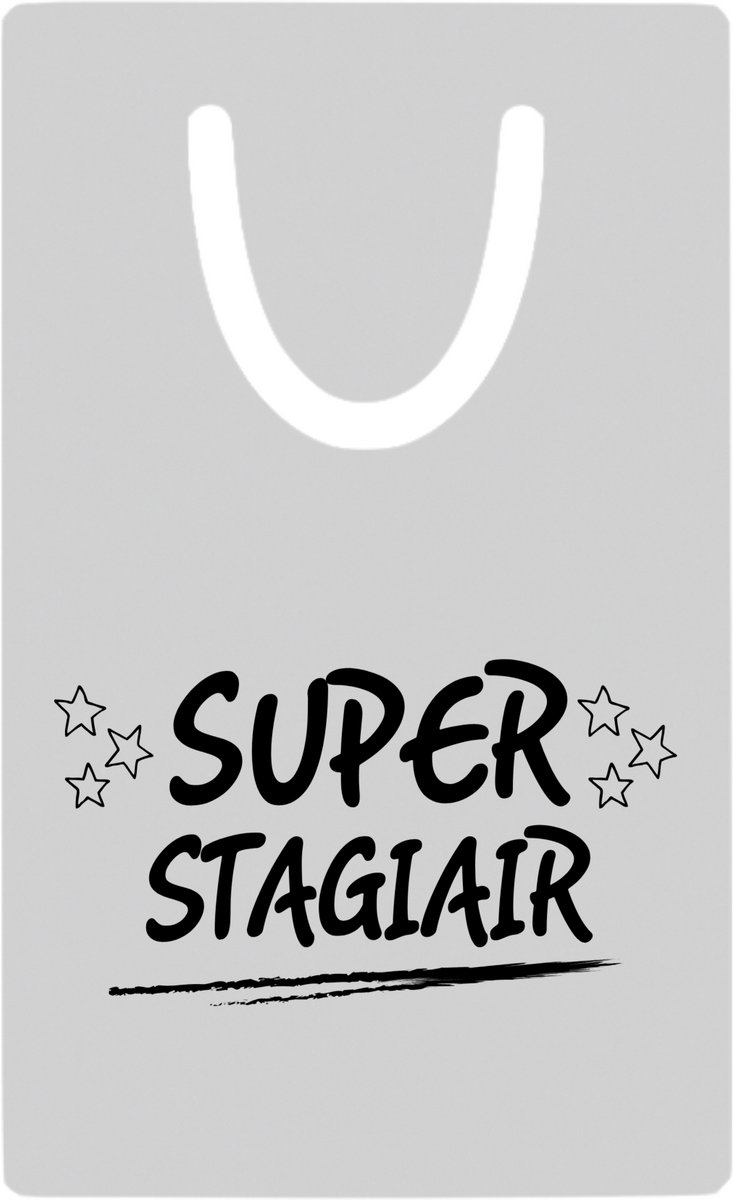 Hacebo® - Super stagiair metalen boekenlegger- Stagiair - beste stagiair - werk - afscheidscadeau - verjaardagscadeau - kado Bladwijzer boekenleggers - 7.6 cm x 5cm