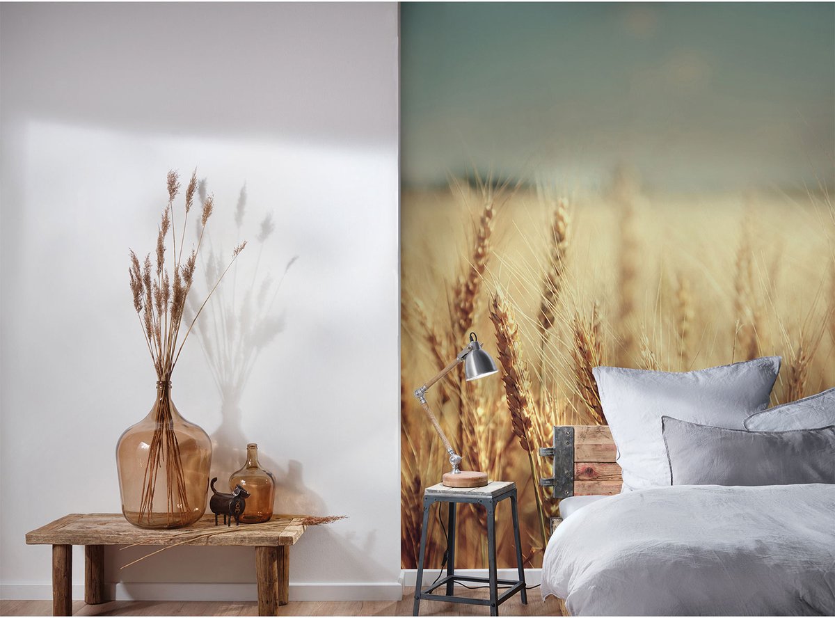 Fotobehang WheatField DD115142 A.S. Création XXL 5 | Goedkoop fotobehang
