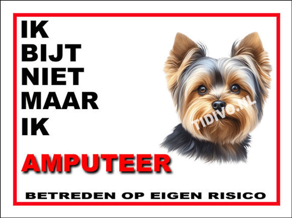 Yorkshire Terrier 5