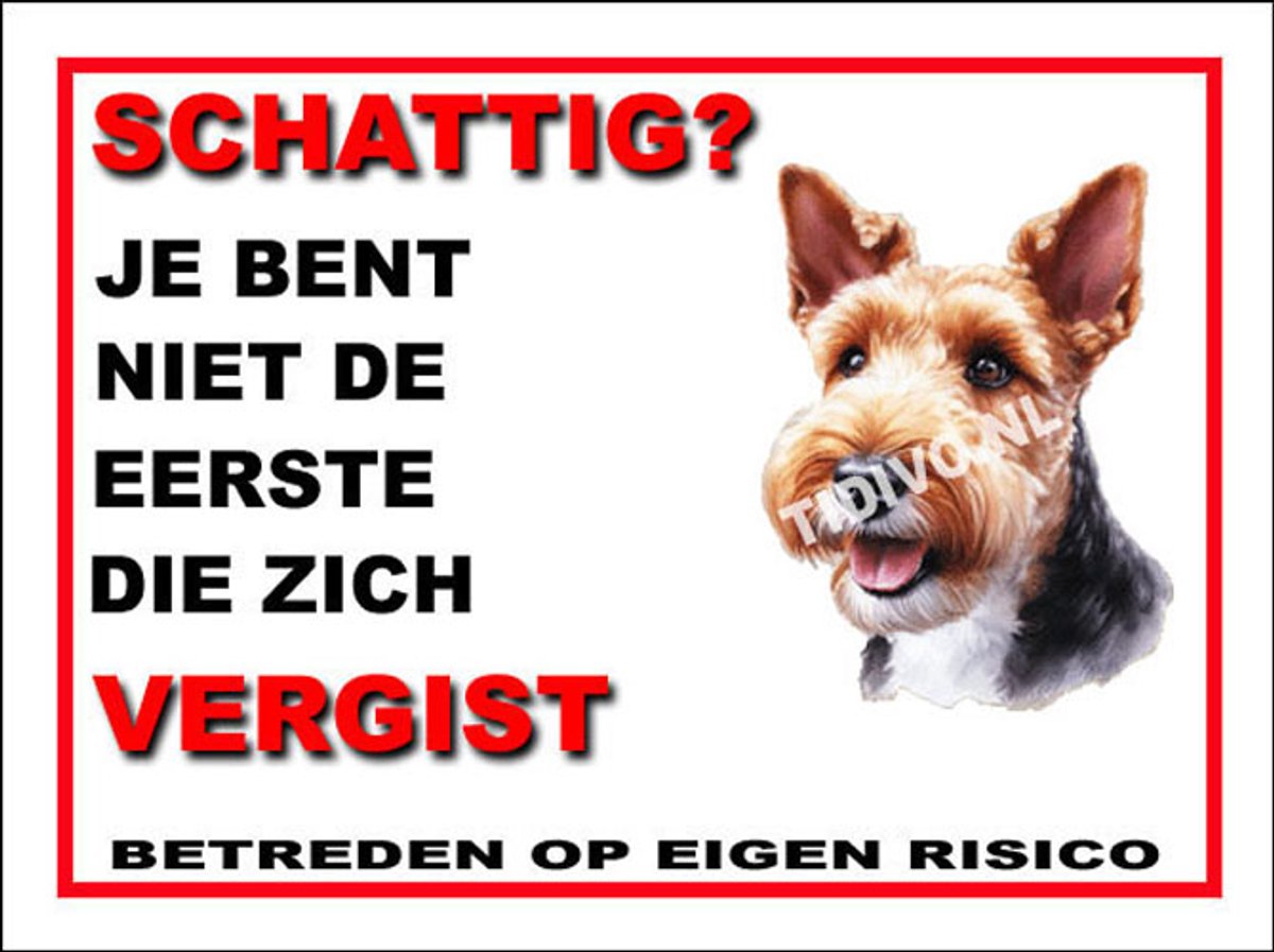 Welsh Terrier 14