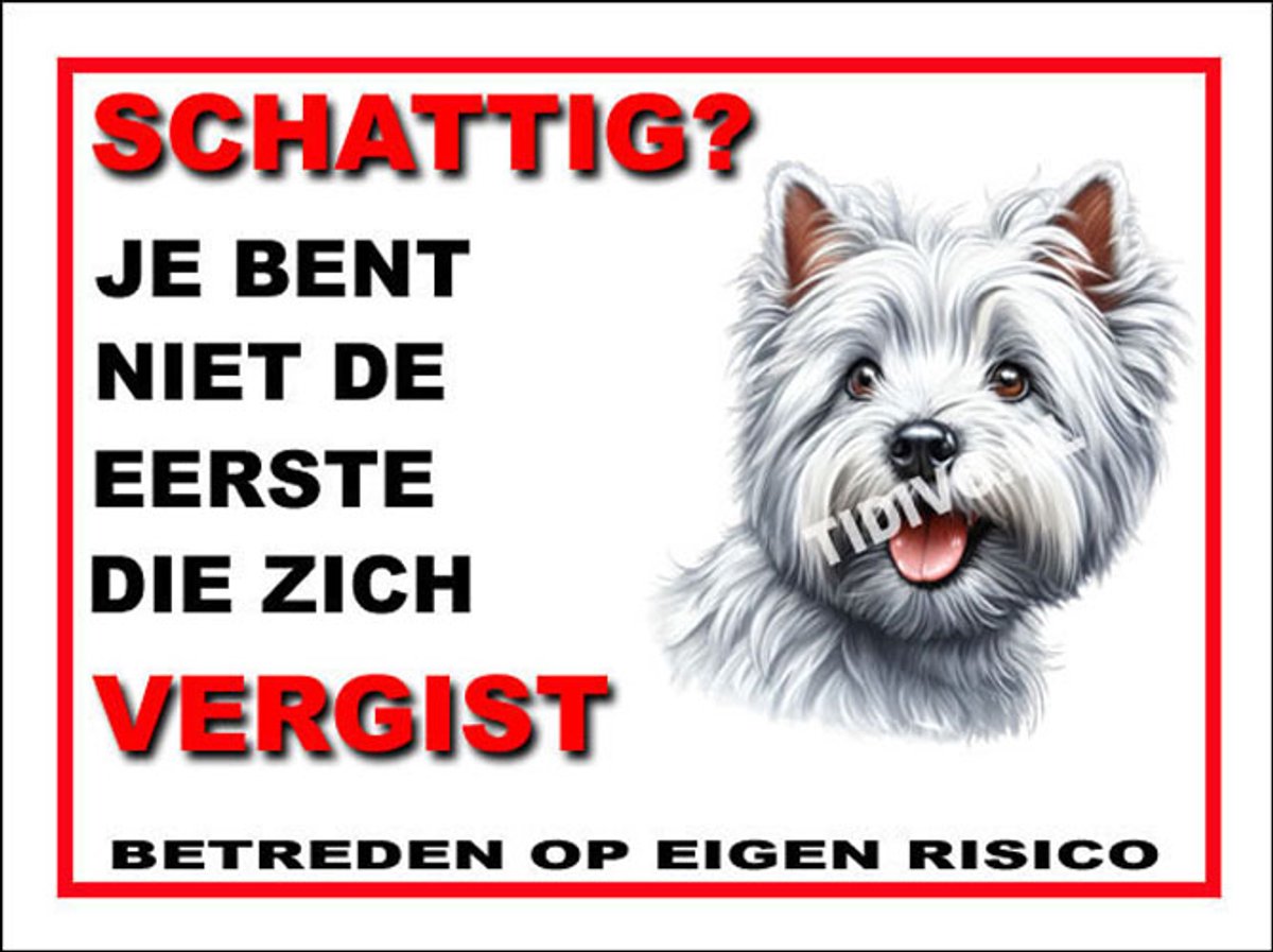 West Highland White Terrier 14