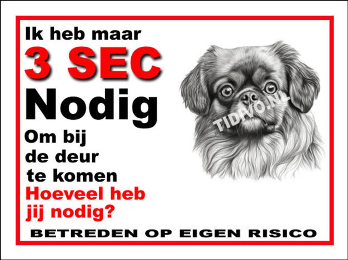Tibetaanse Spaniel 6