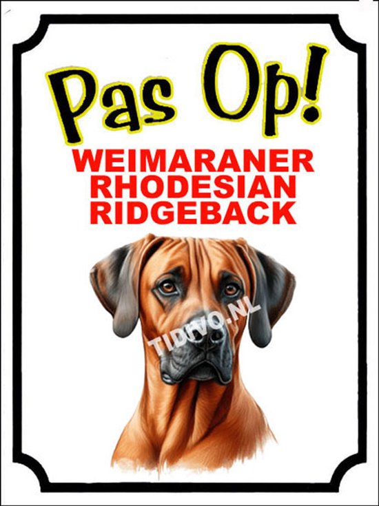 Weimaraner Rhodesian Ridgeback 16 | bol