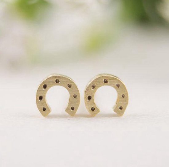 Kinderoorbellen zilver 925 meisjes oorstekers paard en