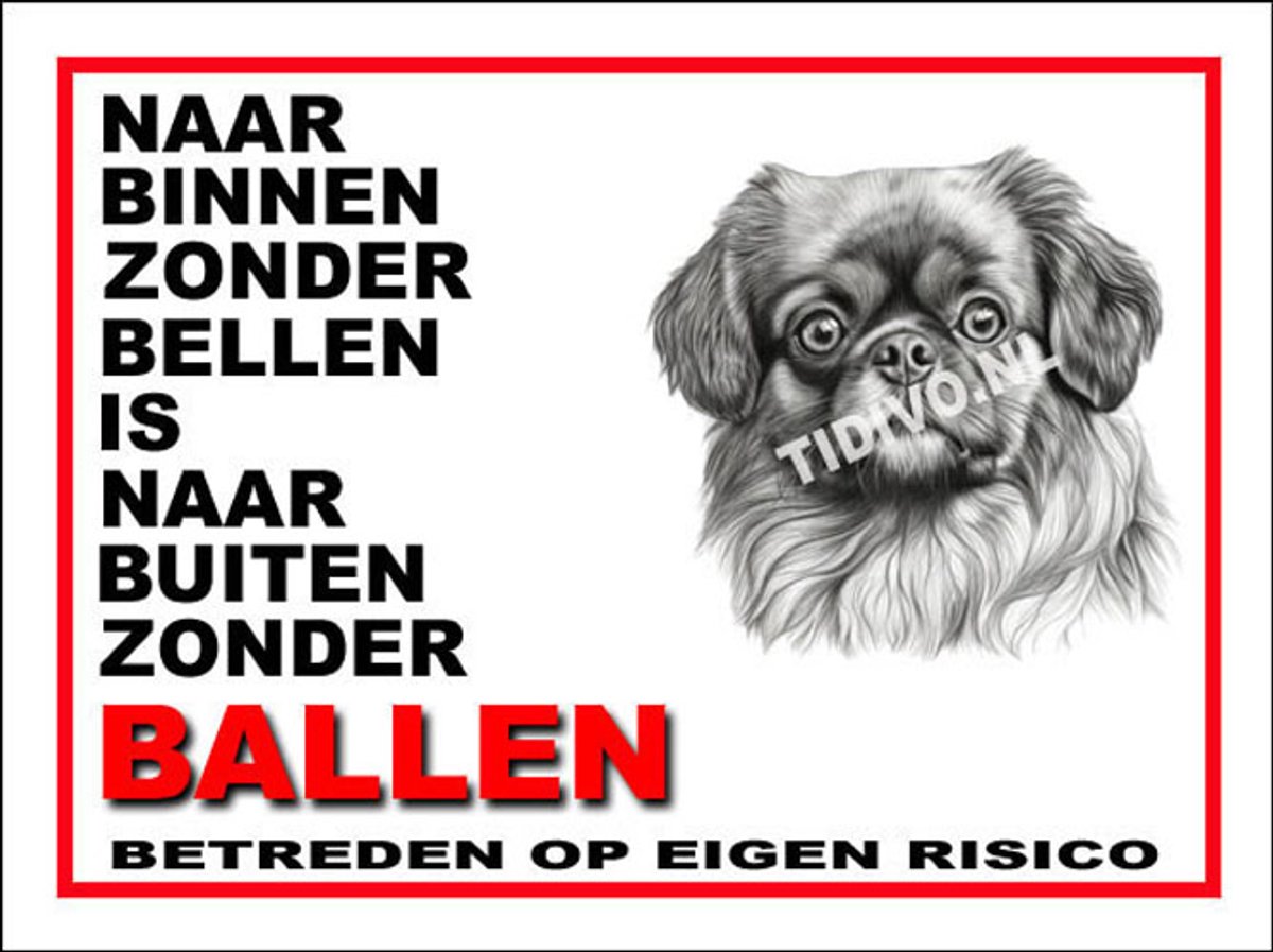 Tibetaanse Spaniel 11