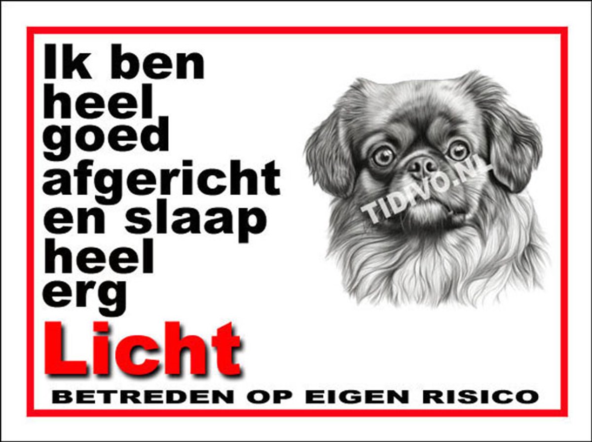 Tibetaanse Spaniel 4