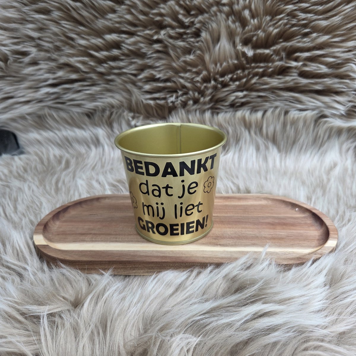 Gouden Bloempot – Bedankt Dat Je Mij Liet Groeien – Cadeau Juf/Meester – Afscheid schooljaar
