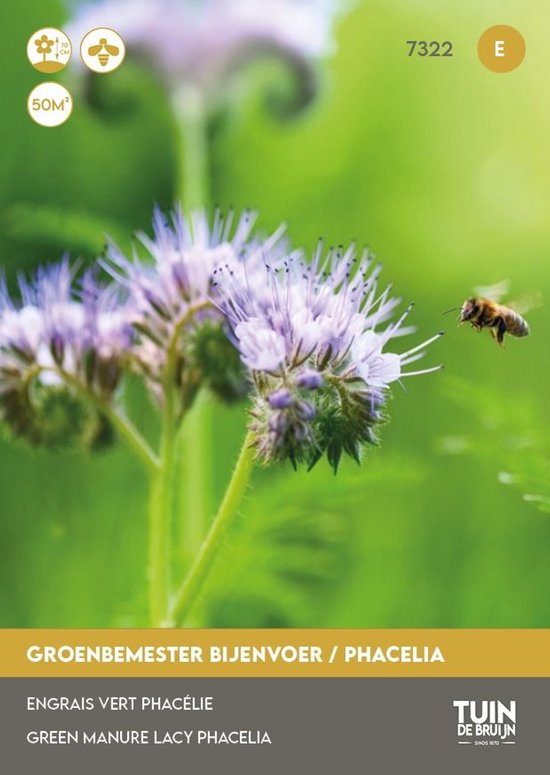 Groenbemester Bijenvoer / Phacelia