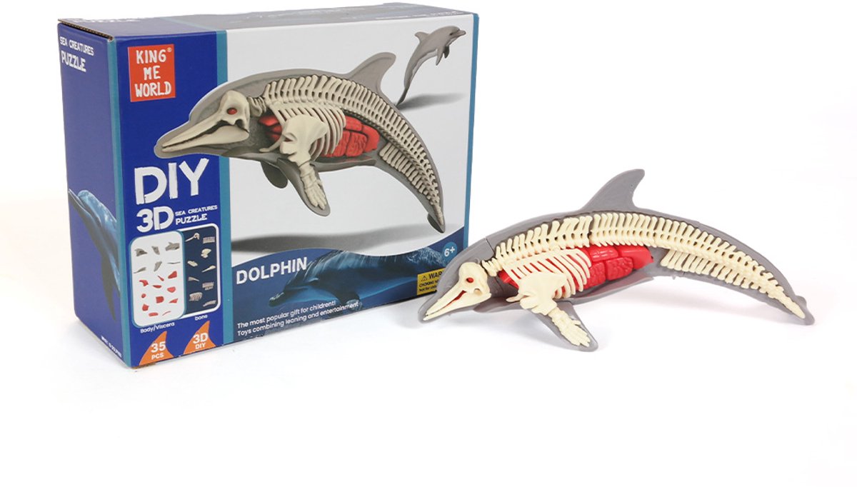 PIA Soft Toys - Dolfijn - 3D - Anatomie