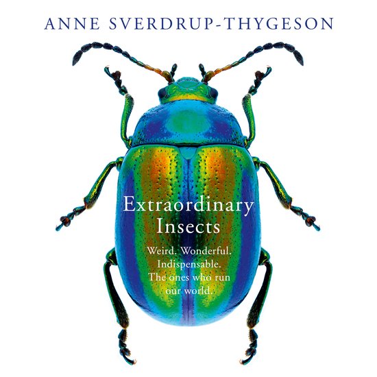 Extraordinary Insects - cover