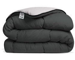 Avenue - Luxe en makkelijk dekbed zonder overtrek – Hoesloos Lits-jumeaux dekbed 240x220 cm – Anti-allergisch & hygiënisch – Wasbaar op 60°C – Wolkenzacht en soepel – Antraciet/Taupe-grijs – All Year comfort zomerdekbed & winterdekbed