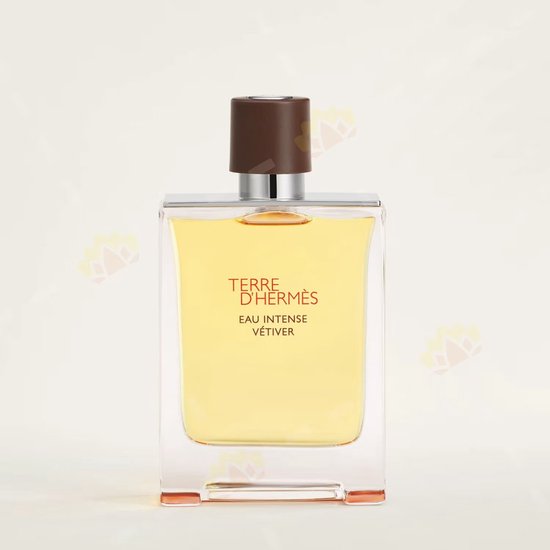 Hermes Terre d'Hermès Eau Intense Vétiver 100 ml - Eau de Parfum