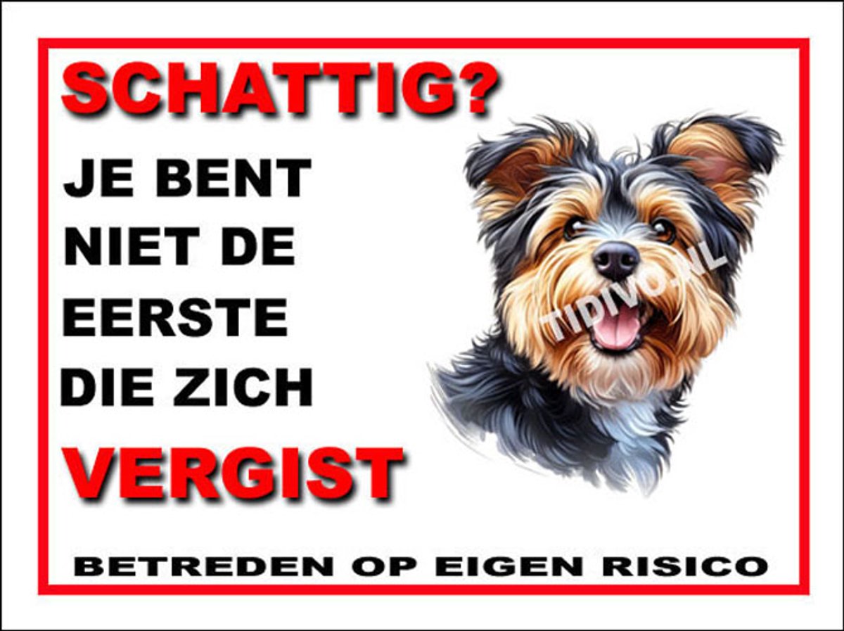 Australian Terrier 14