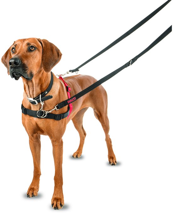 Halti Harnass Anti trektuigje - Hond - Small - Borstomvang 30 tot 60 cm - Rood
