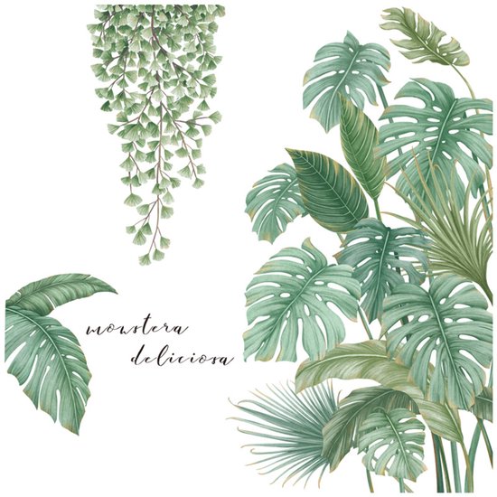 Illustration de diverses feuilles tropicales vertes, dont du Monstera deliciosa et des fougères retombantes.
