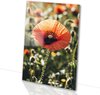 Realistische kunst, Bloem, Oranje, groen, zwart, wit, geel, Klaproos