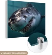 MuchoWow® Glasschilderij 120x90 cm - Schilderij acrylglas - Haai - Wit - Water - Foto op glas - Schilderijen