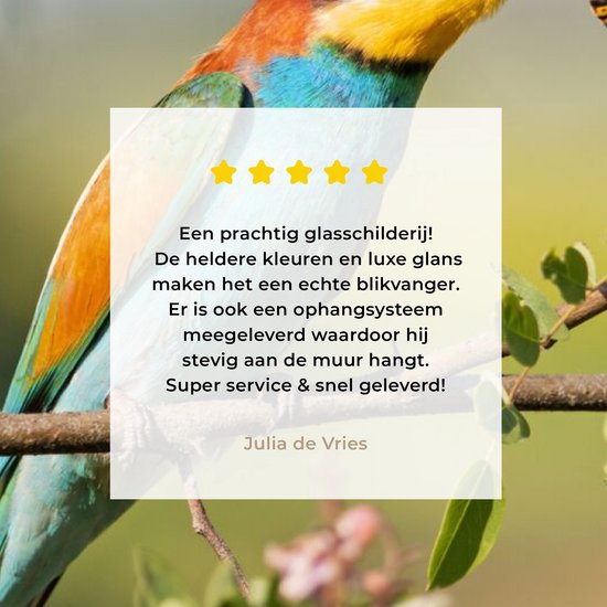 MuchoWow® Peinture sur verre 60x40 cm - Peinture sur verre acrylique - Vogel - Guêpier - Fleurs - Photo sur verre - Peintures